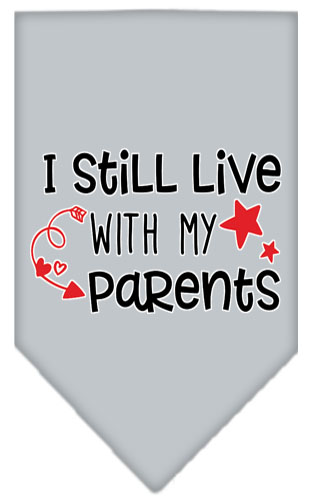 Still Live with my Parents Screen Print Pet Bandana Grey Small